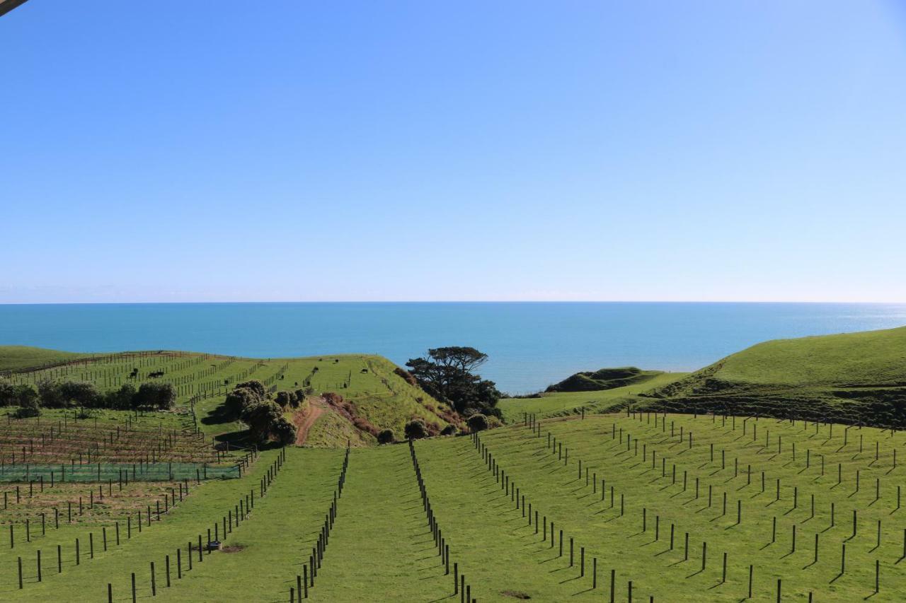 Appartamento Chalets At Okurukuru New Plymouth Esterno foto